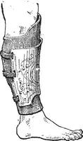 Pad armor, vintage engraving. vector