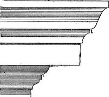 Annulet or Listel or Fillets, vintage engraving vector