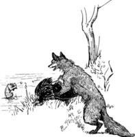 Reynard the Fox Taunting Bruin, vintage illustration vector