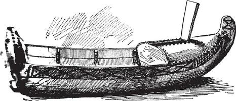 Laponia pulpa, Clásico ilustración. vector