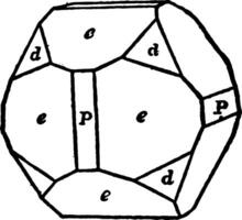 Combination of Pentagonal Dodecahedron, Cube and Octahedron vintage illustration. vector