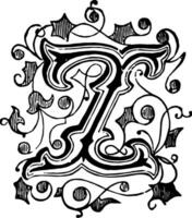 Ornamental letter of Z, vintage illustration. vector