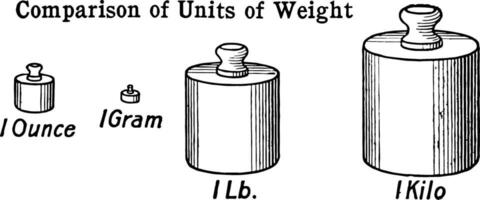 Comparison of Units of Weight vintage illustration. vector