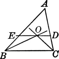 Triangle With Bisectors of Base Angles vintage illustration. vector