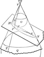 Cone depicting Conic Sections vintage illustration. vector