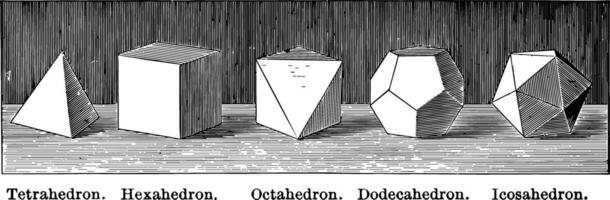 Regular Polyhedrons vintage illustration. vector