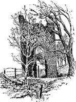 Jamestown vintage illustration vector