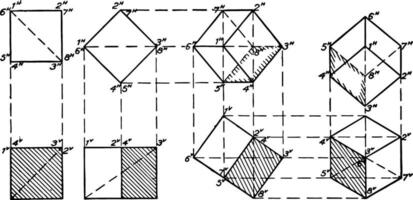 Development of an Isometric of a Cube vintage illustration. vector