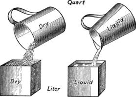 Comparison Of Units Of Capacity vintage illustration. vector