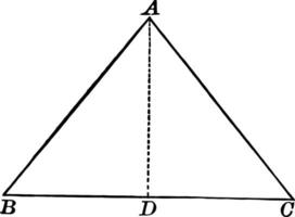 Isosceles Triangle With Interior Segment Drawn vintage illustration. vector