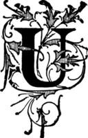 Floral initial of U, vintage illustration. vector