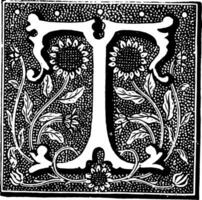 T, Floral vintage illustration. vector