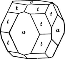 Diploid and cube vintage illustration. vector