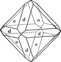 Octahedron and dodecahedron vintage illustration. vector