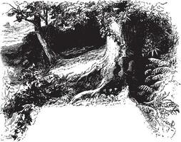 bosque Clásico ilustración. vector