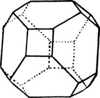 Hexahedron and Octahedron vintage illustration. vector