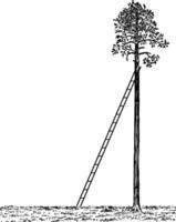 escalera propensión en contra un árbol Clásico ilustración. vector
