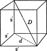 Cube 9 by 9 by 9 With Diagonals vintage illustration. vector