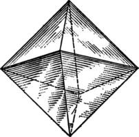 Regular Octahedron vintage illustration. vector