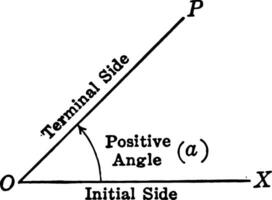 Positive Trigonometric Angle
 vintage illustration. vector