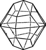 Dyakis-dodecahedron vintage illustration. vector