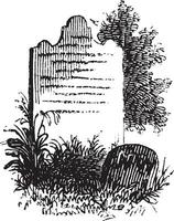 Woodhull's Grave,vintage illustration vector