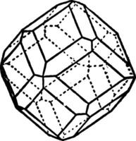 Combination of Icositetrahedron and Rhombic Dodecahedron vintage illustration. vector