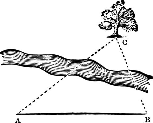 Triangle with Tree vintage illustration.