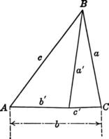 triangulos a B C y a B C' Clásico ilustración. vector