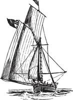 Ringtail Sailboat, vintage illustration. vector