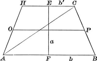 Area of a Trapezoid vintage illustration. vector