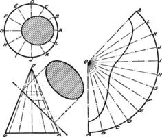 Development of Cone vintage illustration. vector