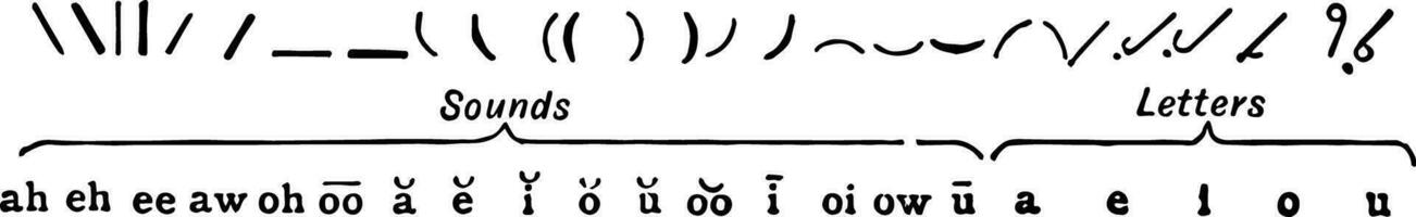 Pitman system of shorthand, vintage illustration. vector