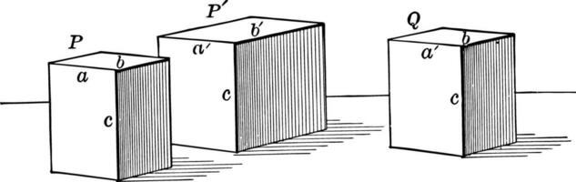 Rectangular prisms vintage illustration. vector