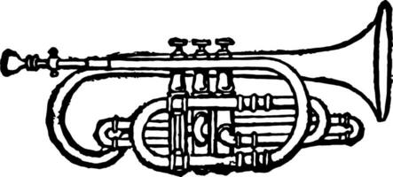 Cornet, vintage illustration. vector