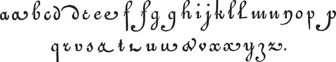 Lowercase, vintage engraving. vector