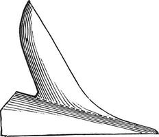 cuchilla es limpieza sí mismo, con Derecho borde, Clásico grabado. vector