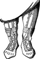 Adorned boots, vintage engraving. vector