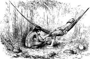 Native Woman Removing Jiggers From Feet in Oiapoque, Brazil, vin vector