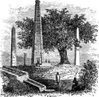 Obelisk of Axum or Rome Stele, in Tigray Region, Ethiopia, during the 1890s vintage engraving vector