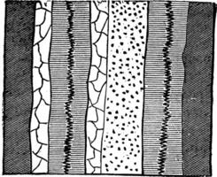 Geological Vein, vintage engraved illustration. vector