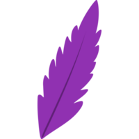 purple carnival feather png