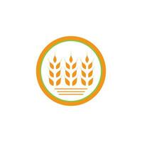 Wheat Logo template vector illustration design