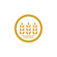 Wheat Logo template vector illustration design