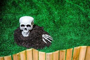 a fake skeleton laying on the grass next to a wooden fence photo