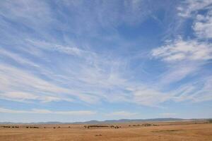 a large open field with a few clouds in the sky photo