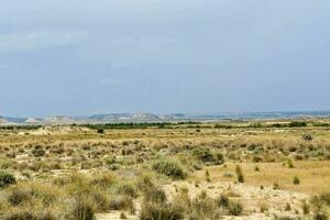 a desert landscape with grass and shrubs photo