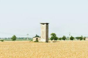 an old tower in a field of wheat photo