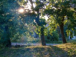 loire in france photo