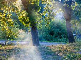 loire in france photo